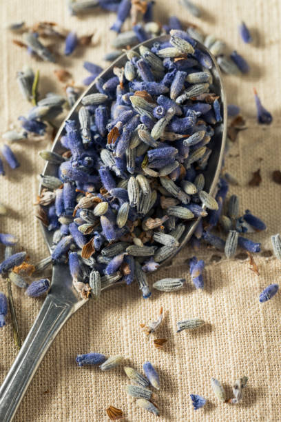 istock Raw Organic Dry Purple Lavender Spice 697058248