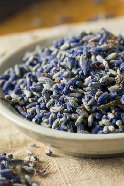 istock Raw Organic Dry Purple Lavender Spice 697060752