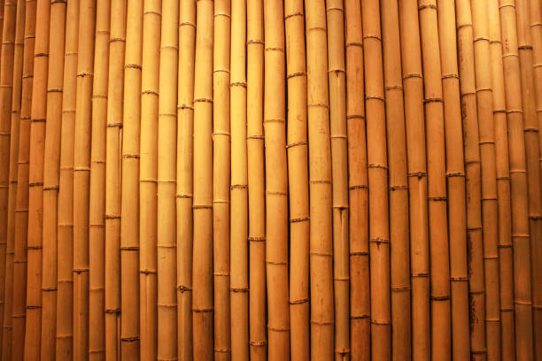 istock Brazil Sao Paulo Bamboo Texture Japan House 697060998