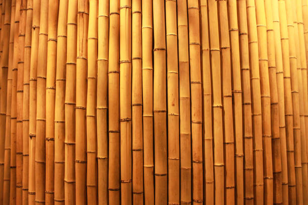 istock Brazil Sao Paulo Bamboo Texture Japan House 697061046