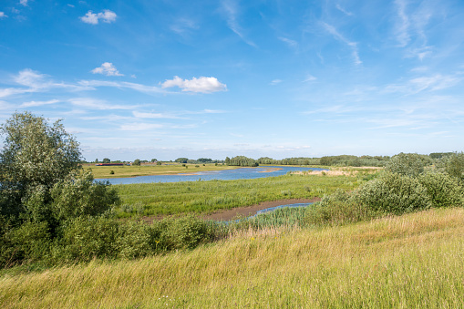 Panorama of nature reserve Breemwaard in flood plains of river Waal from dike on south bank near Nieuwaal, Bommelerwaard, Gelderland, Netherlands