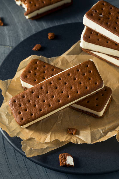 istock Sweet Chocolate and Vanilla Ice Cream Sandwich 697063992
