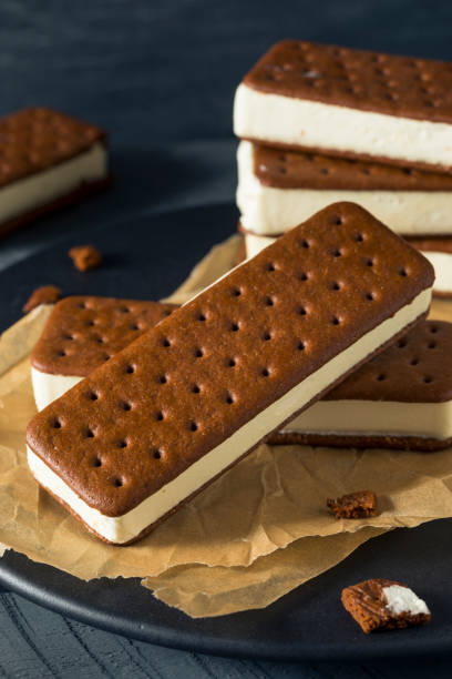 istock Sweet Chocolate and Vanilla Ice Cream Sandwich 697064090