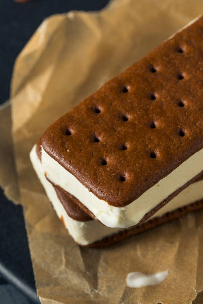 istock Sweet Chocolate and Vanilla Ice Cream Sandwich 697064654