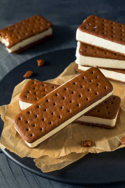 istock Sweet Chocolate and Vanilla Ice Cream Sandwich 697067004