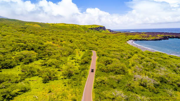camino a la costa de hana, hawaii - hana fotografías e imágenes de stock