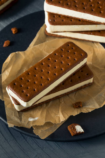 istock Sweet Chocolate and Vanilla Ice Cream Sandwich 697068190