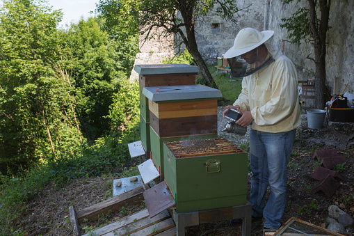 A beekeeper is checking his honeycombs. He is wearing a beekeeper jacket with hat.