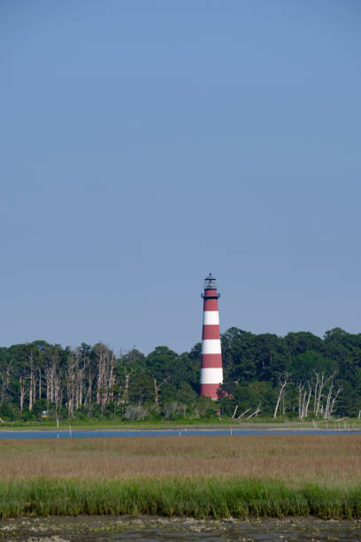 istock The beautiful Assateague Island Lighthouse in Virginia 697074174
