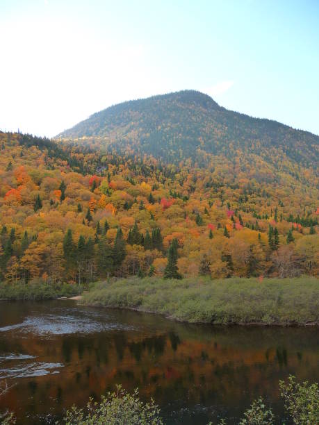 istock Jacques Cartier River in autumn 697082514