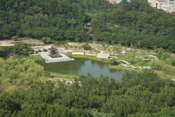 istock Korea seoul city park 697112956