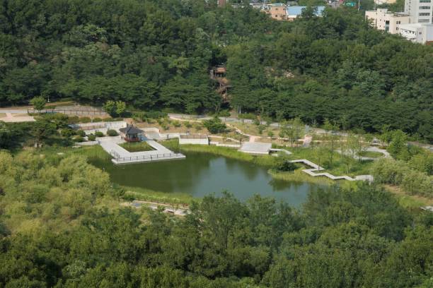 istock Korea seoul city park 697112958