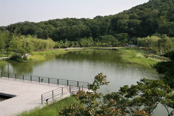 istock Korea seoul city park 697114946
