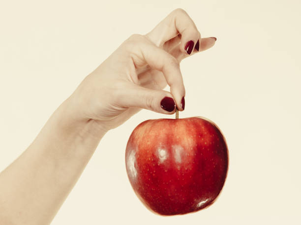 istock Woman hand holding delicious red apple 697119634