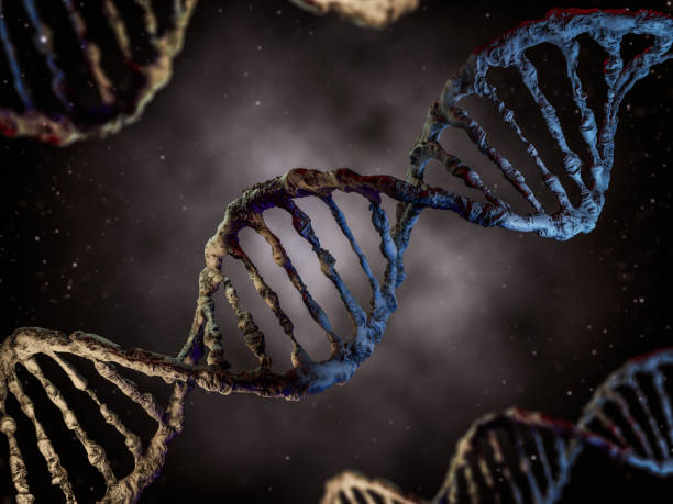 istock Digital illustration of a DNA model. 3D rendering 697135448