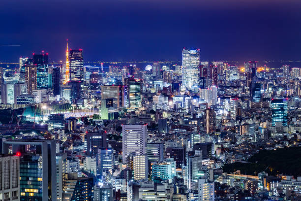 istock Night view of Tokyo 697138490