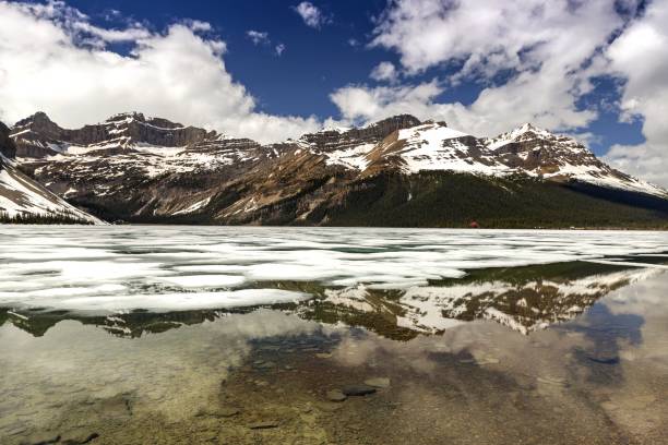istock Bow Lake Banff National Park 697143982