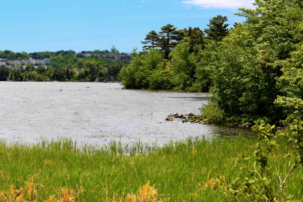 istock Lake in the City 697151360