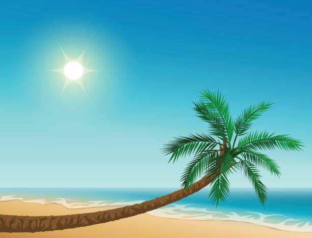 istock Paradise tropical beach. Inclined palm tree, clear sky, sun, sea and sand 697151654