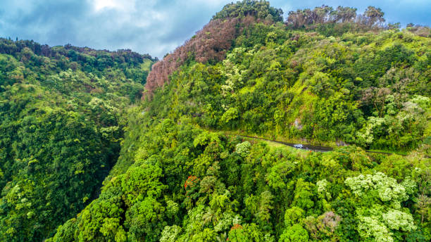 Road to Hana Maui Hawaii Pacific ocean scenic The famous road to Hana hana coast stock pictures, royalty-free photos & images