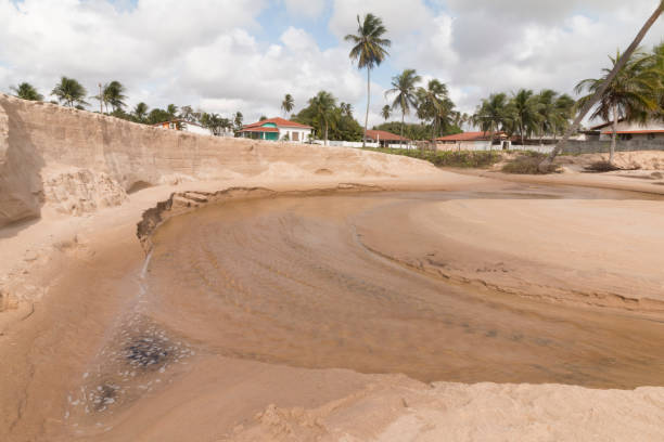 istock Potiguar north coastline, northeast, Brazil 697166206