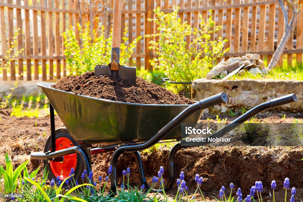 Wheelbarrow Wheelbarrow full of soil in a garden Vegetable Garden Stock Photo