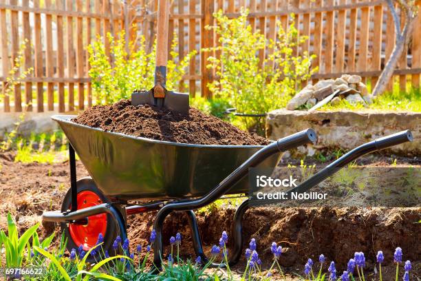Wheelbarrow Stock Photo - Download Image Now - Vegetable Garden, Compost, Wheelbarrow