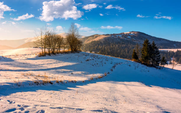 istock foggy morning in winter mountains 697169368