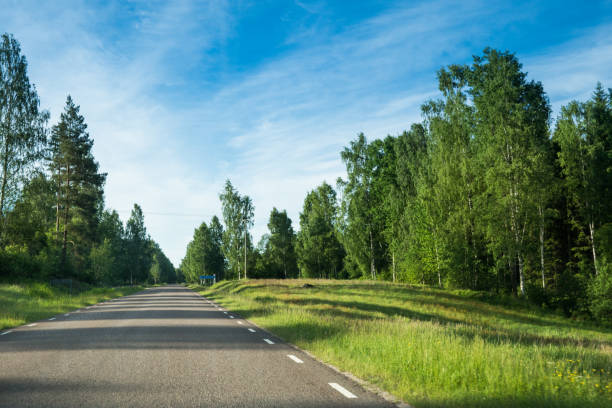 istock Summer road in sweden 697187074