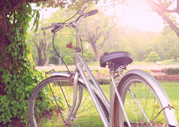 istock vintage bicycle in garden 697191246