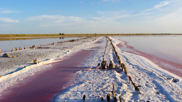 istock landscape with salty sea in Sivash 697197042