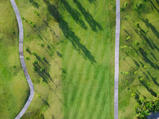 istock Aerial view of the green golf course 697197200