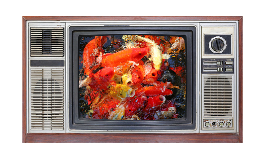 Retro television on white background with image of koi fish on screen.