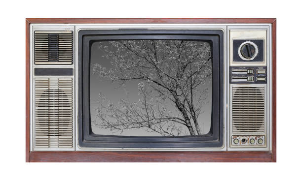 Retro television on white background with image of tree in black and white on screen.