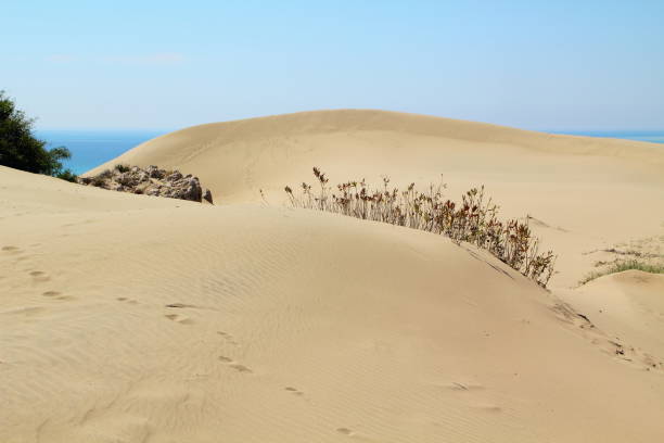 istock dune landscape near patara in turkey 697211054