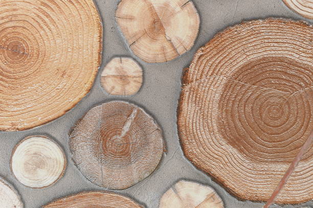 istock Surface of the tile floor in pattern brown wood for design background. 697211748