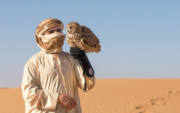 istock Falconer training a desert owl in a desert near Dubai 697215154