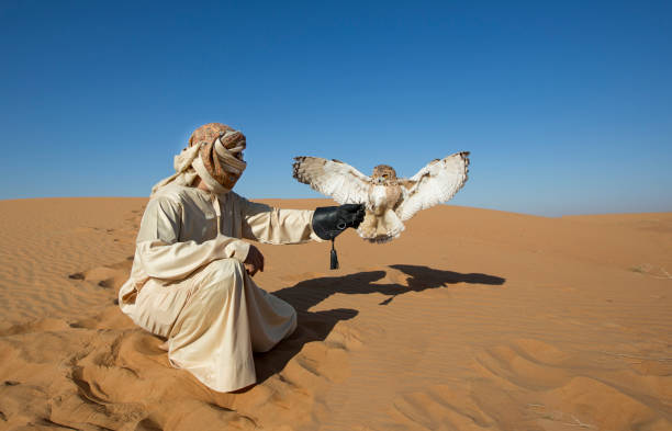 istock Falconer in a desert training a bird 697215160