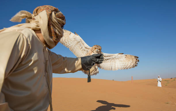 istock Falconer in a desert training a bird 697215438