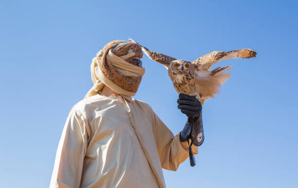 istock Falconer in a desert training a bird 697215442