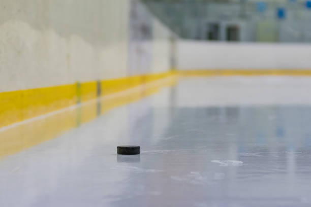 istock Hockey puck on the ice 697224740