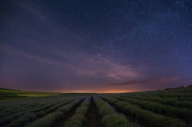 istock Starry sky over the lavender field 697225402