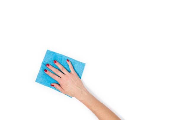 istock Woman's hand cleaning isolated on white background 697225604