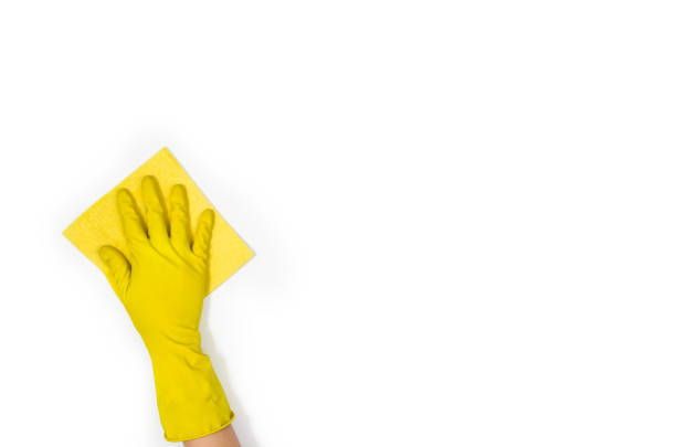 istock Woman's hand cleaning isolated on white background 697225644
