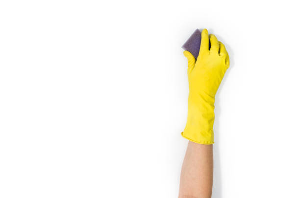 istock Woman's hand cleaning isolated on white background 697226186