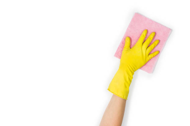 istock Woman's hand cleaning isolated on white background 697228638