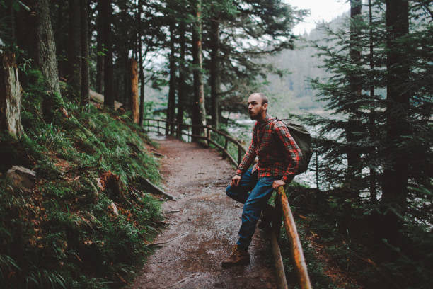 istock Man hiking near the forest in mountains 697229062