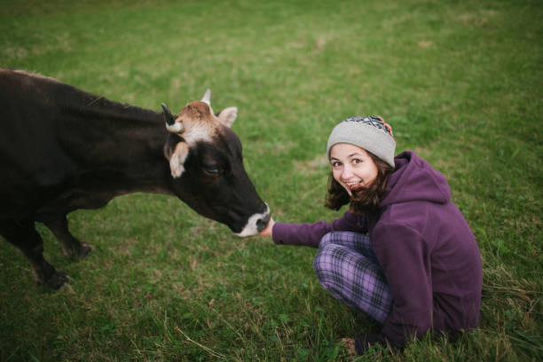istock Woman petting cow on the meadow 697231368