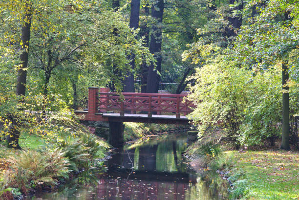 istock Bridge in Japanese garden in fall time 697231418