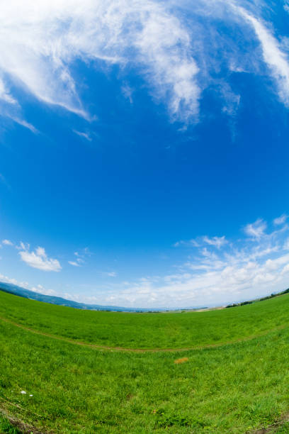 istock Green grassland and summer blue sky 697234722
